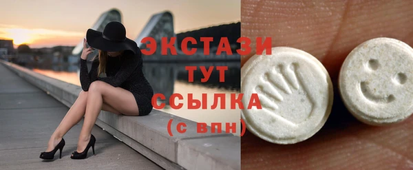 СК Снежногорск