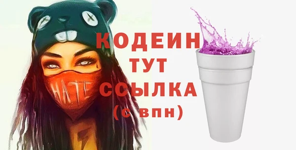 гидра Богородицк