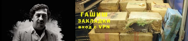 гидра Богородицк