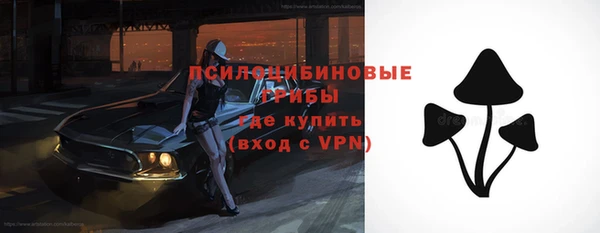 метадон Белокуриха