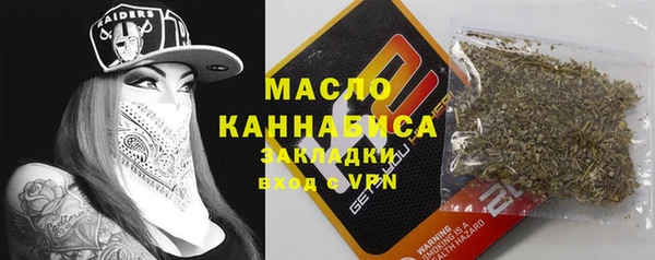 гидра Богородицк