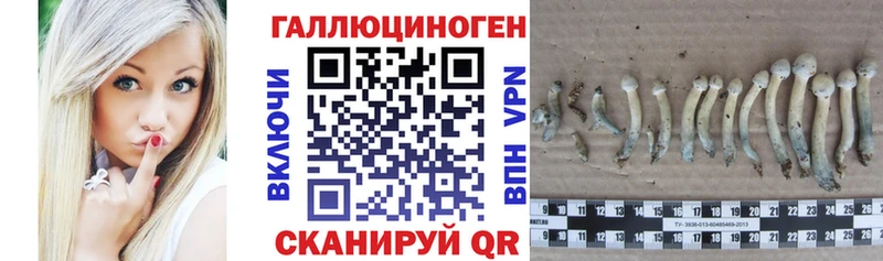 Галлюциногенные грибы Cubensis  Пестово 